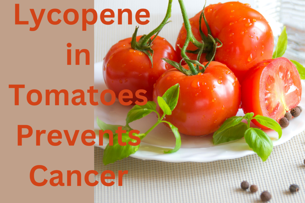 Lycopene in Tomatoes Prevents Cancer